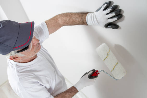 Best Drywall Crack Repair  in South Holland, IL